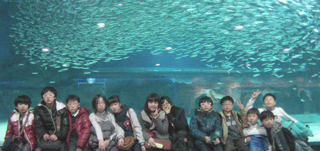 2011.03.25_aqua.jpg