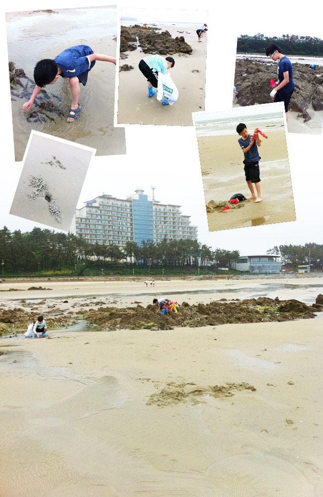 2011.06.2324_foreshore3.jpg