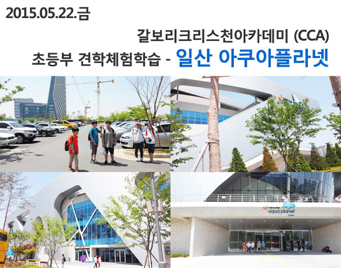 20150522_aqua01.jpg