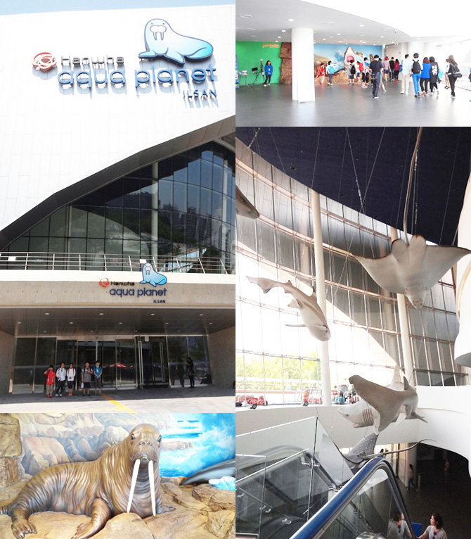 20150522_aqua02.jpg