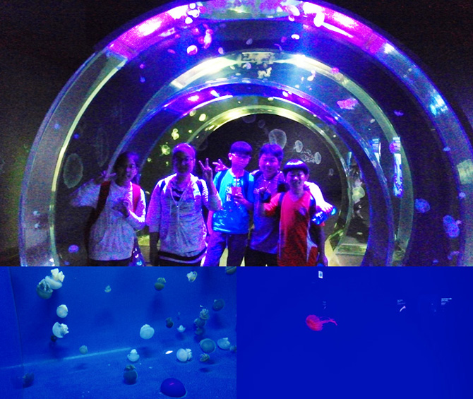 20150522_aqua05.jpg