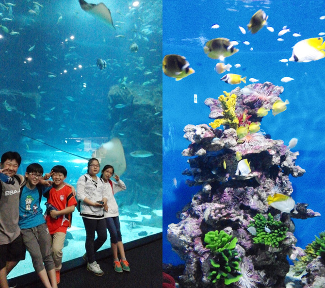 20150522_aqua07.jpg