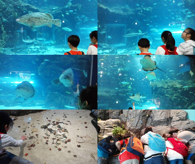 20150522_aqua08.jpg