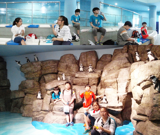 20150522_aqua09.jpg