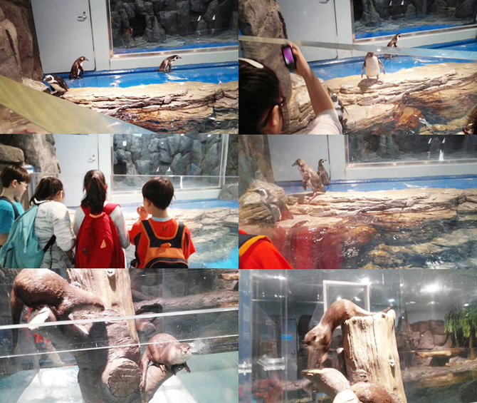 20150522_aqua10.jpg