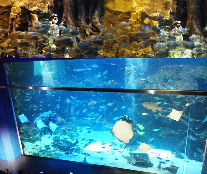 20150522_aqua13.jpg