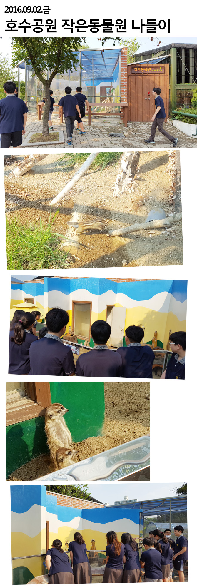 20160902_tinyzoo1.jpg
