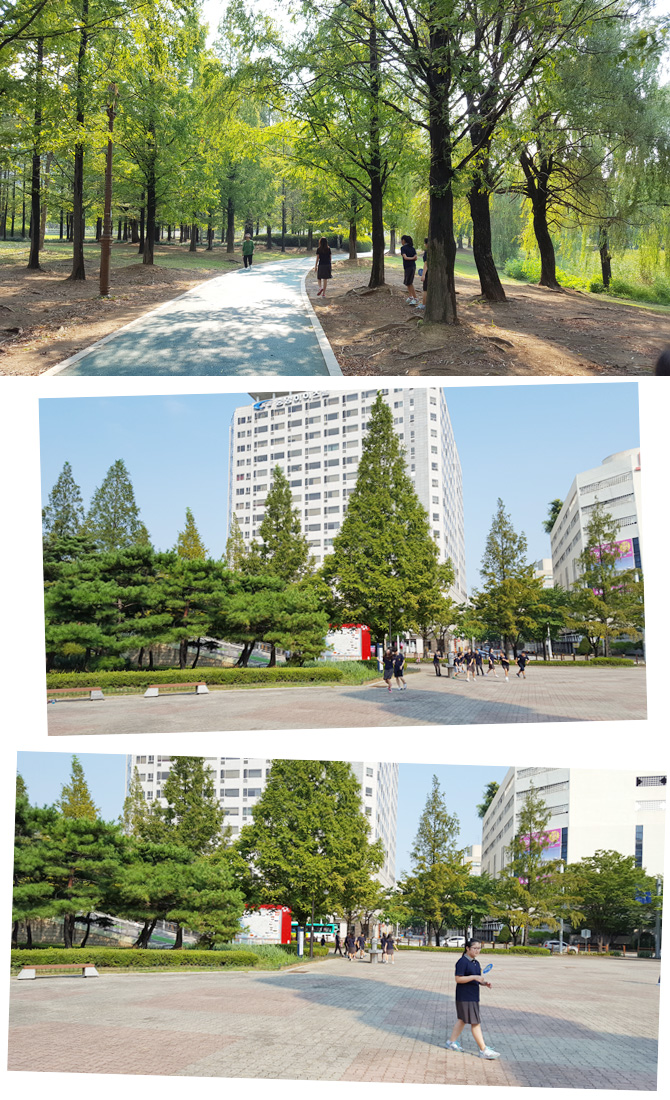 20160902_tinyzoo3.jpg