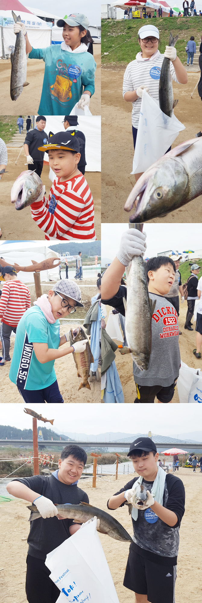 20161017_1salmon09.jpg