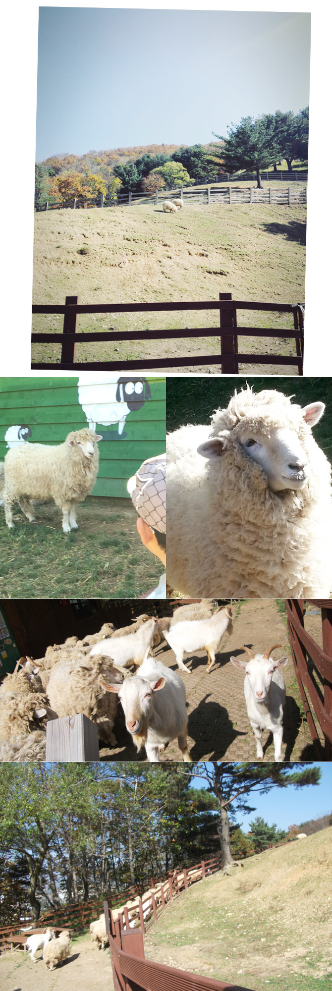 20161019_ranch06.jpg