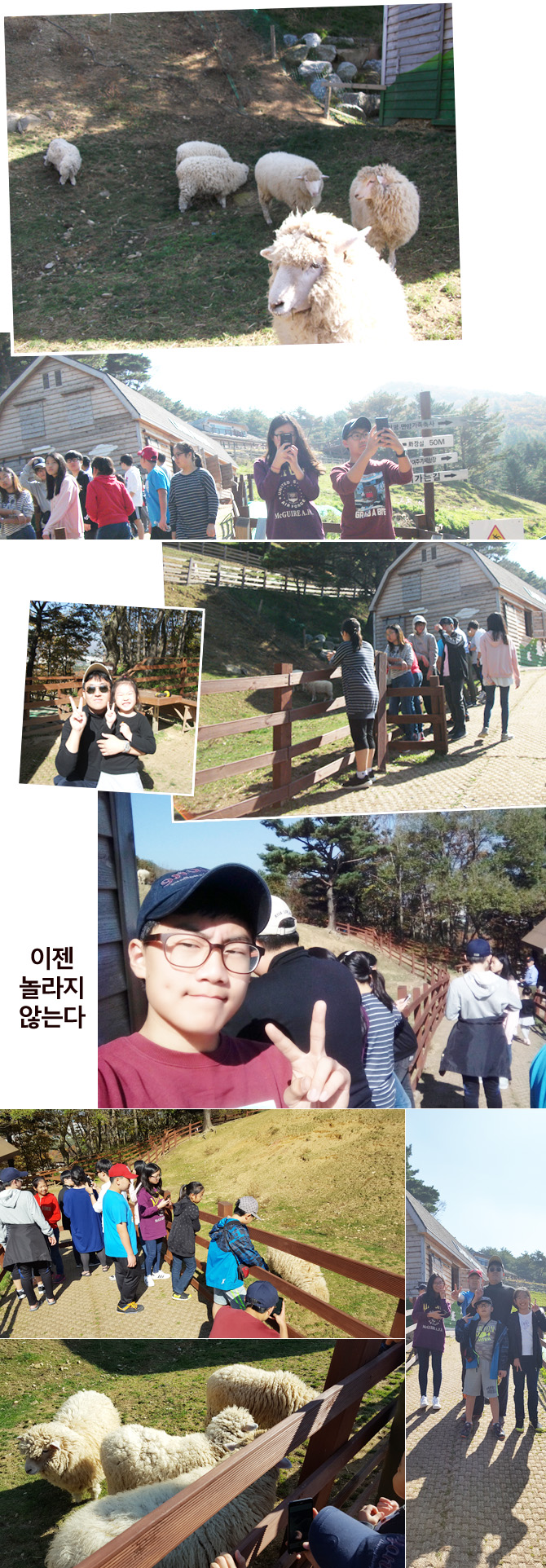 20161019_ranch07.jpg