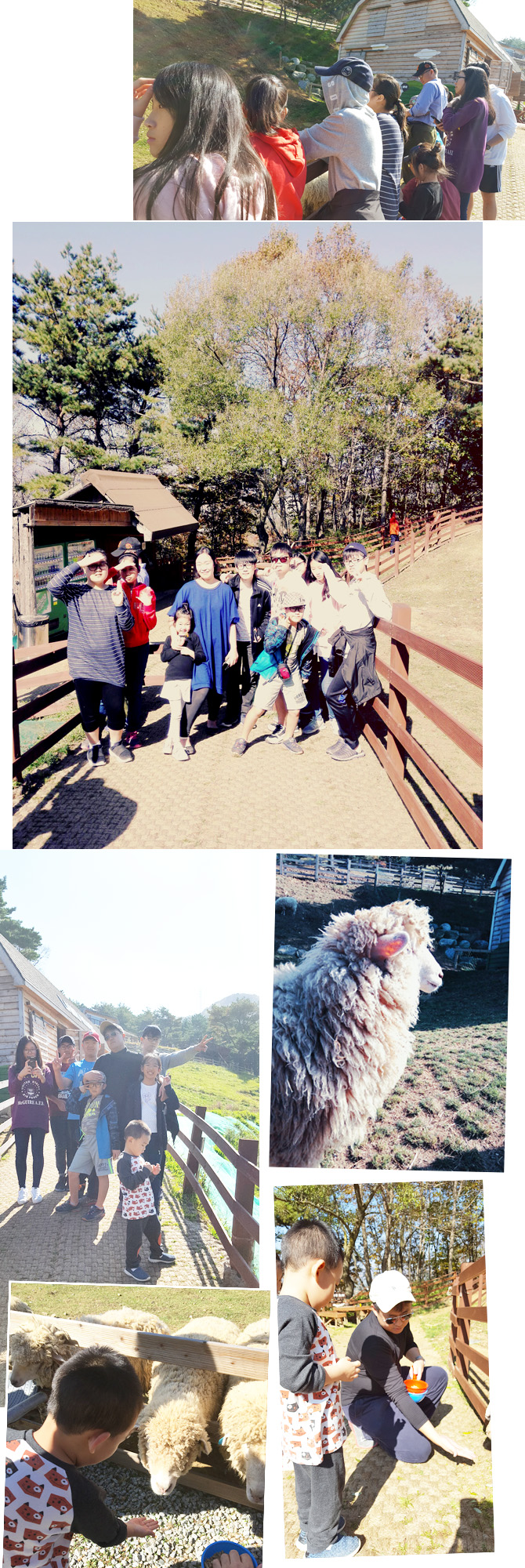 20161019_ranch08.jpg
