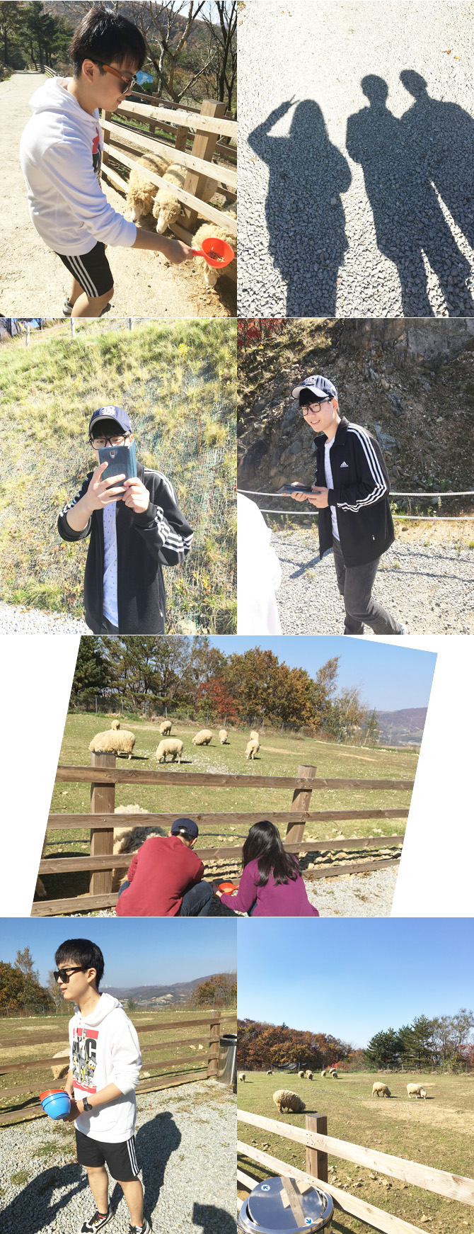 20161019_ranch09.jpg