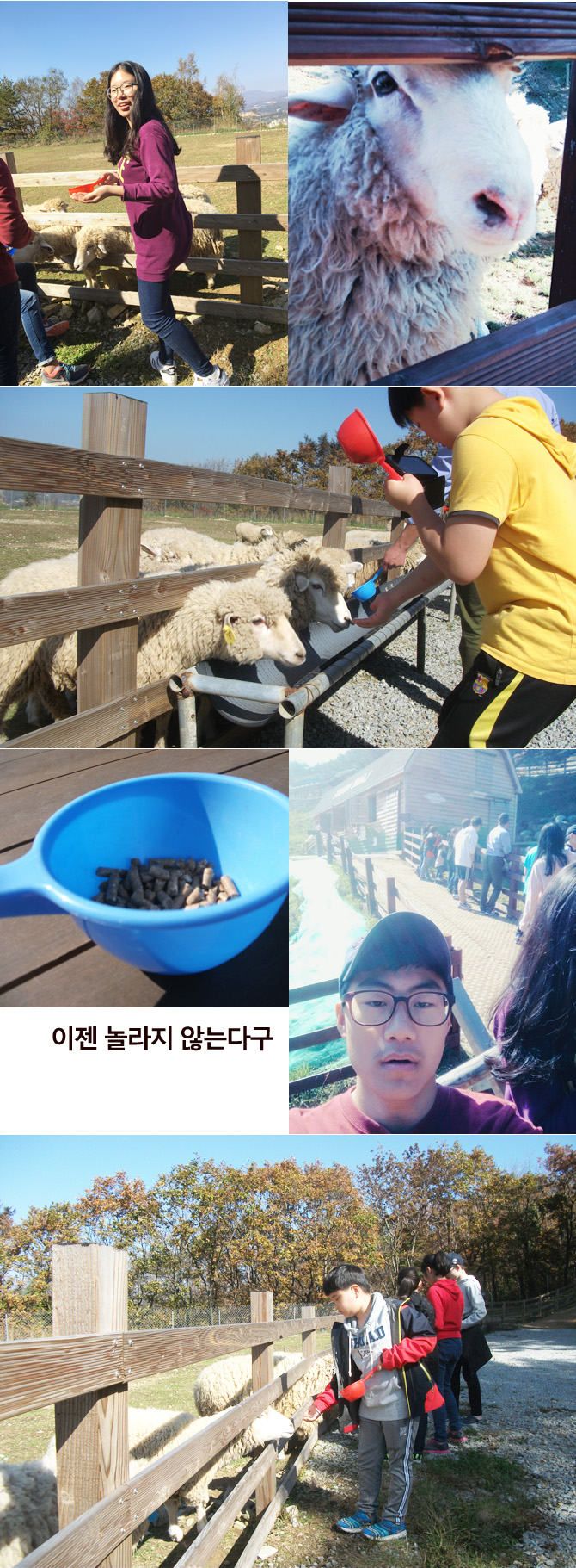 20161019_ranch10.jpg