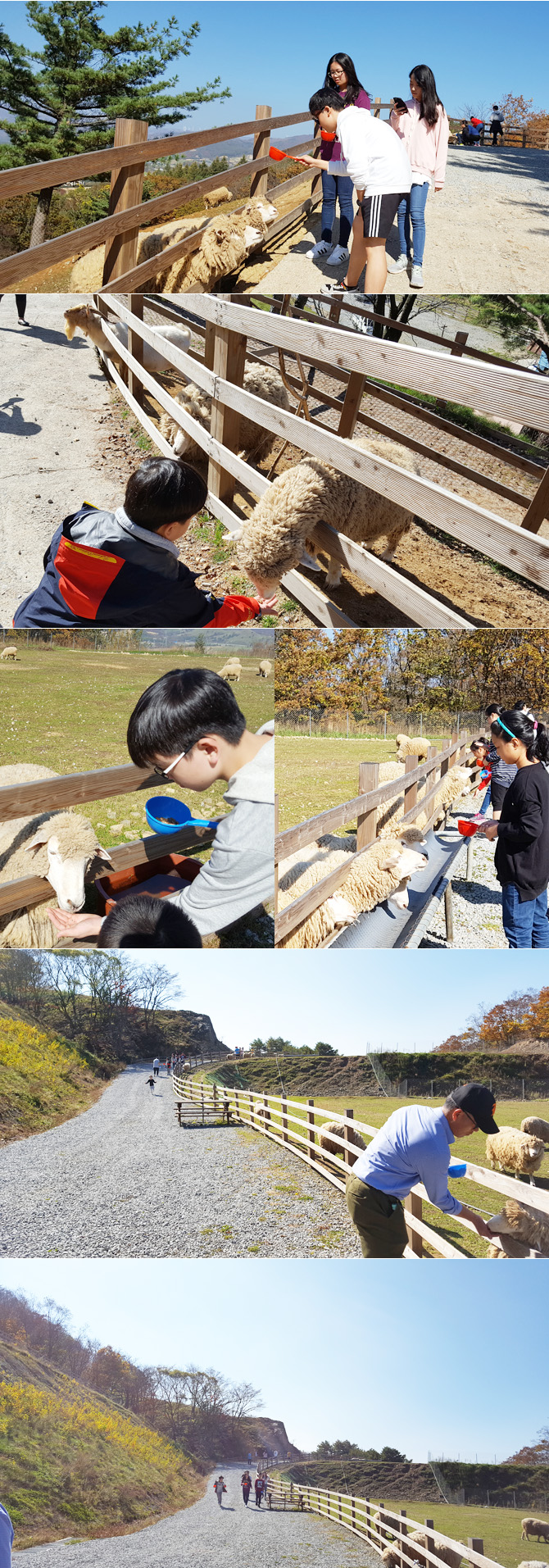 20161019_ranch12.jpg