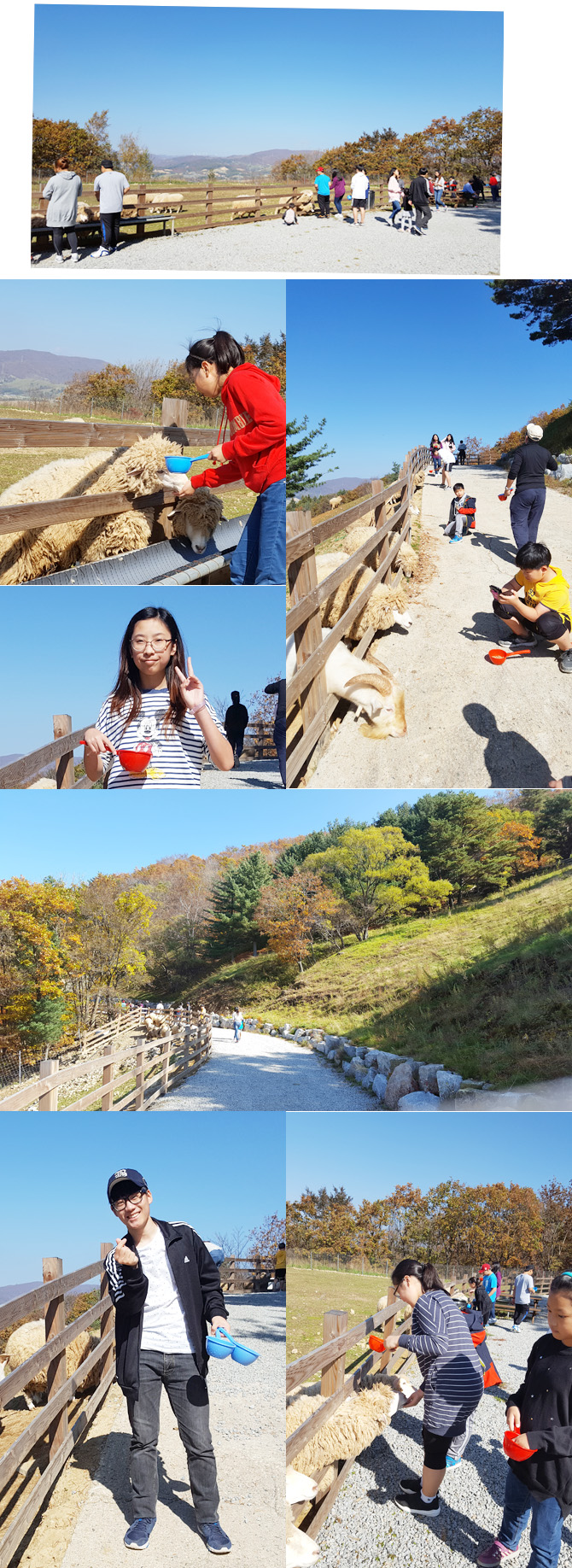 20161019_ranch13.jpg