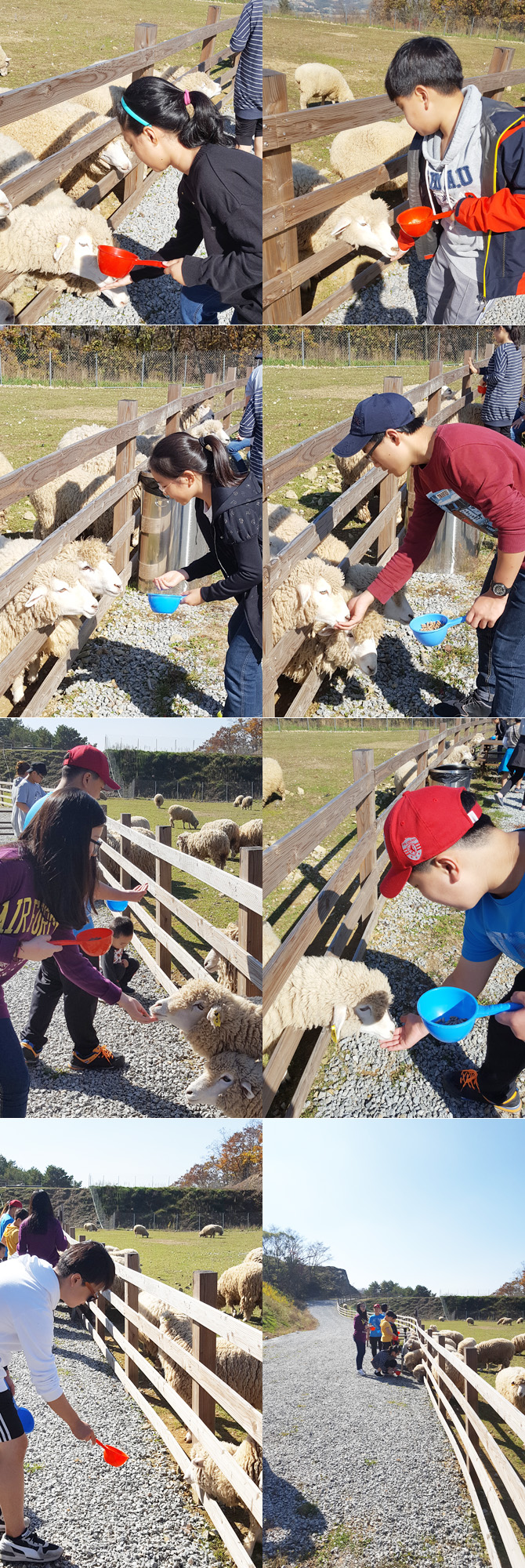 20161019_ranch14.jpg
