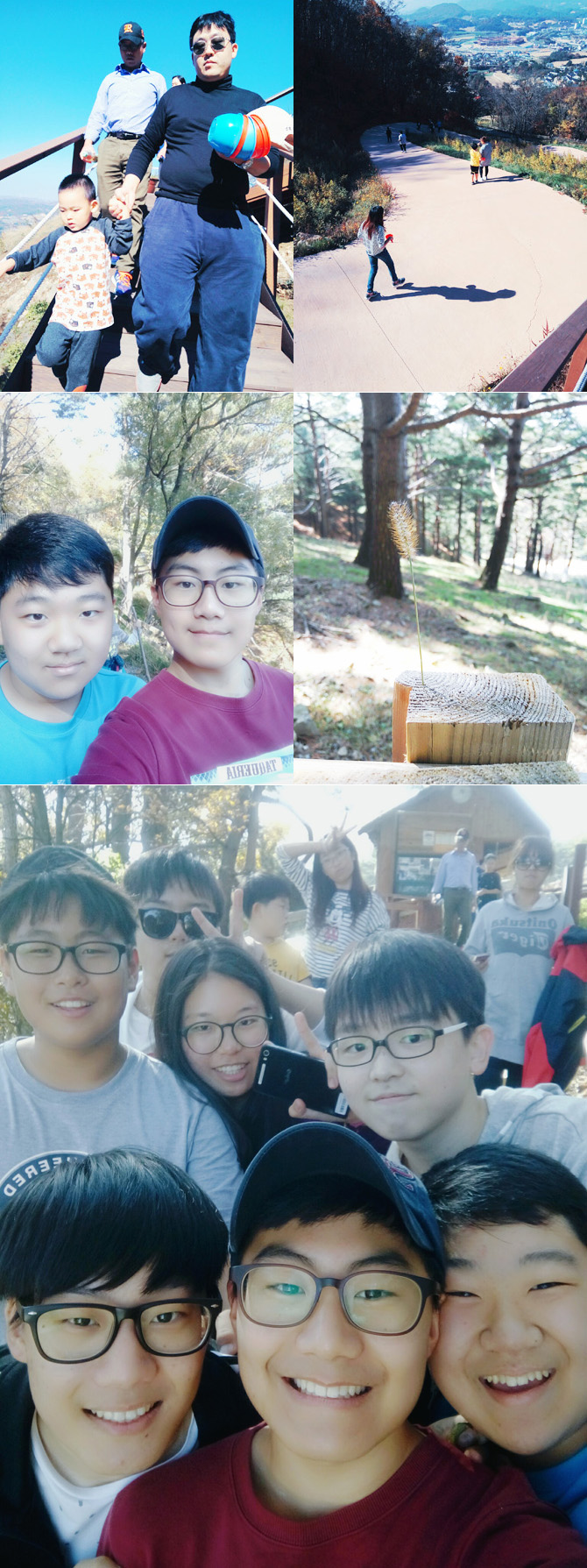 20161019_ranch23.jpg