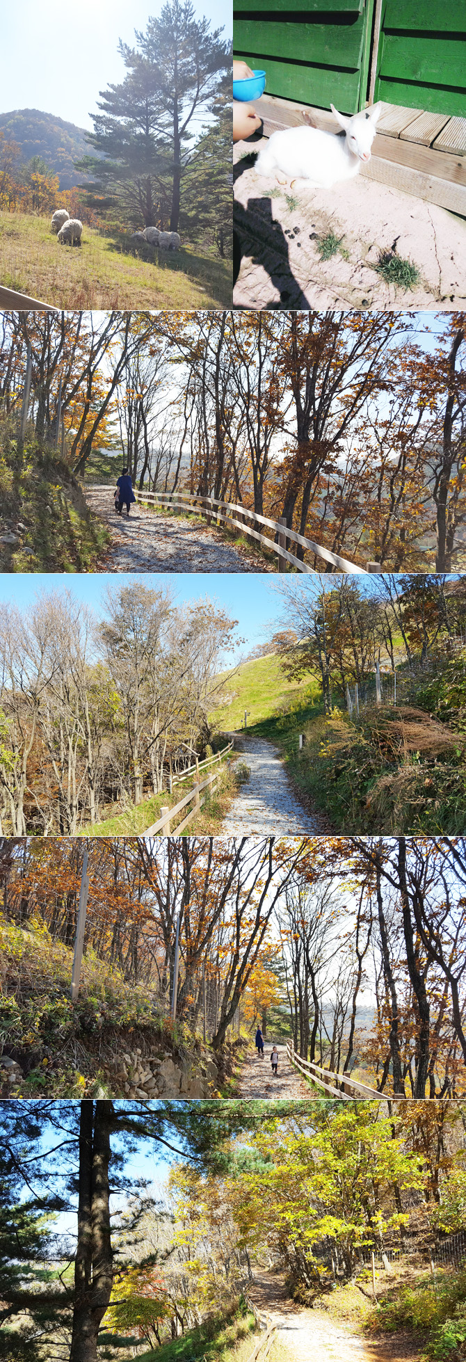 20161019_ranch24.jpg