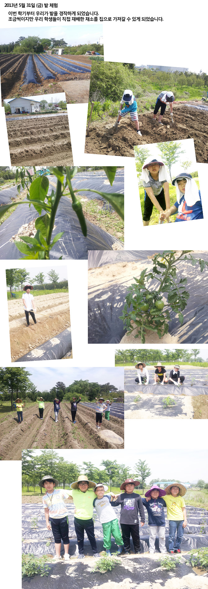 20130531_field.jpg
